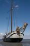 Hoog en droog op een zandbank onder Ameland